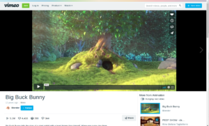 Vimeo Beispiel Video